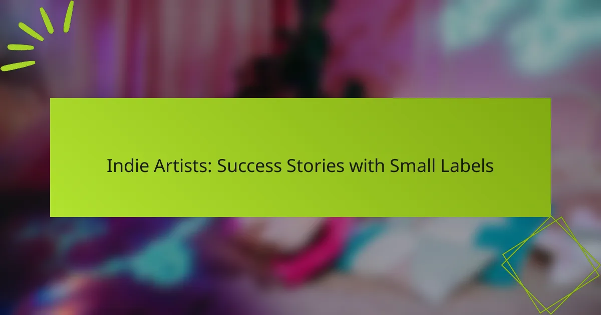 Indie Artists: Success Stories with Small Labels