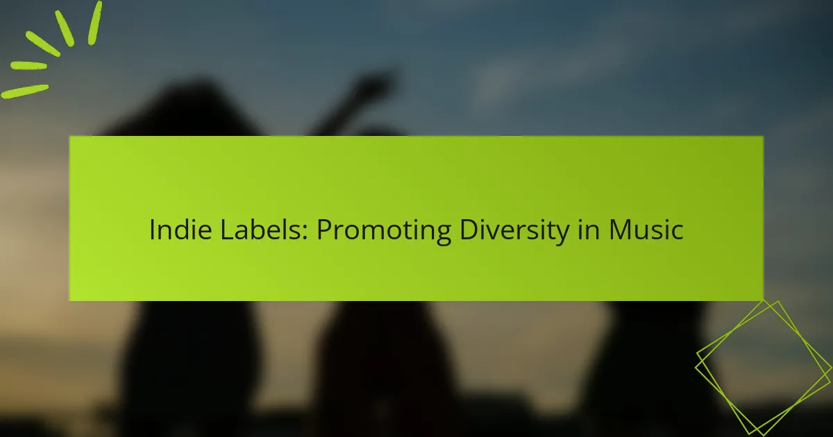 Indie Labels: Promoting Diversity in Music