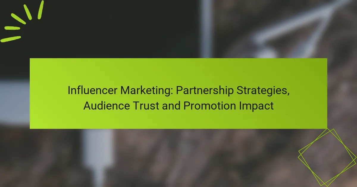 Influencer Marketing: Partnership Strategies, Audience Trust and Promotion Impact