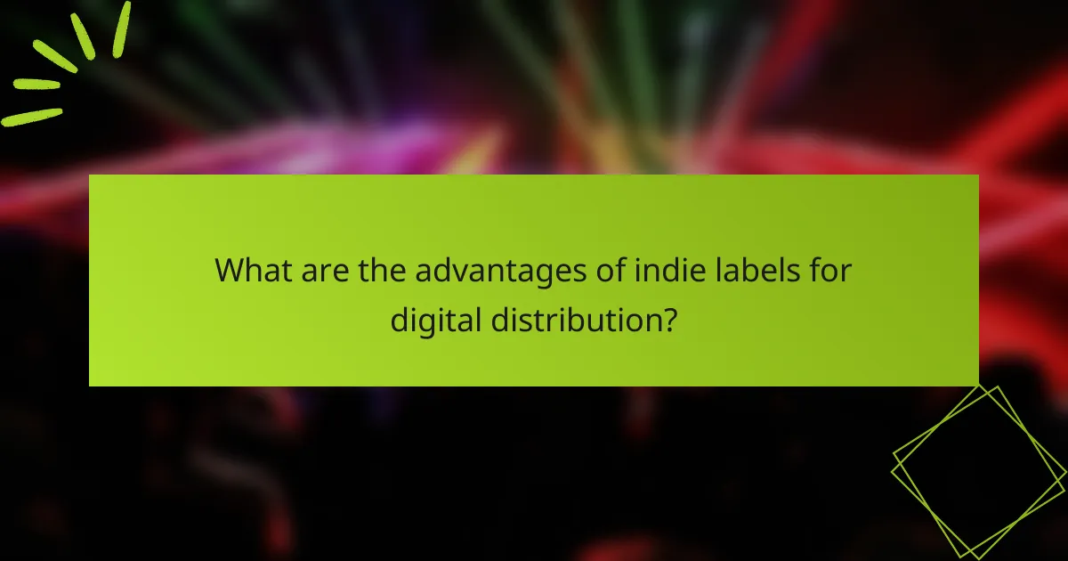 What are the advantages of indie labels for digital distribution?