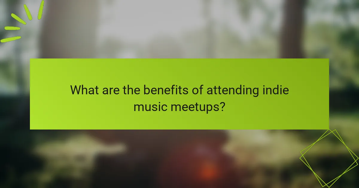 What are the benefits of attending indie music meetups?