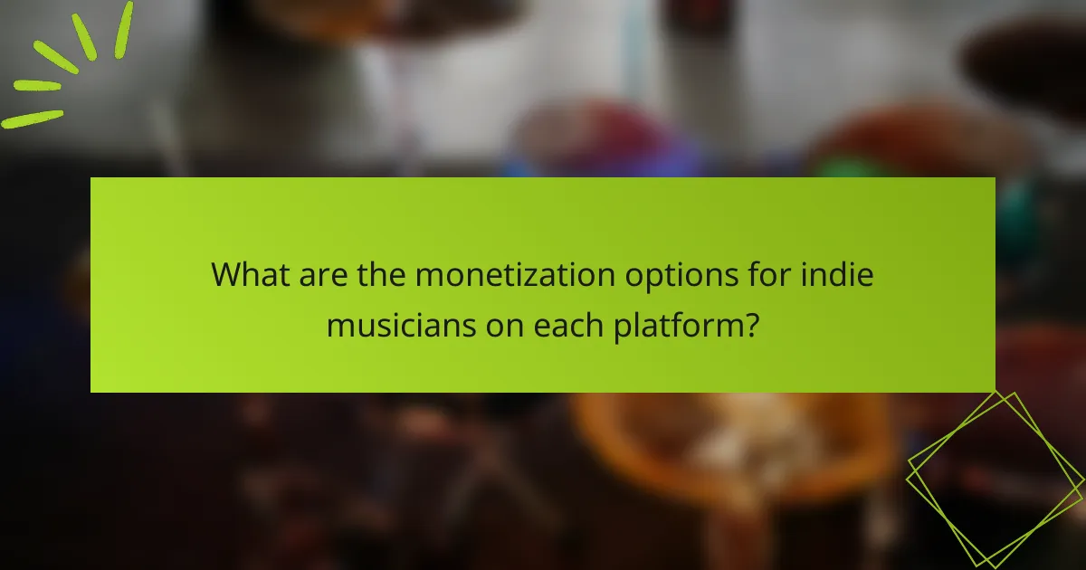 What are the monetization options for indie musicians on each platform?