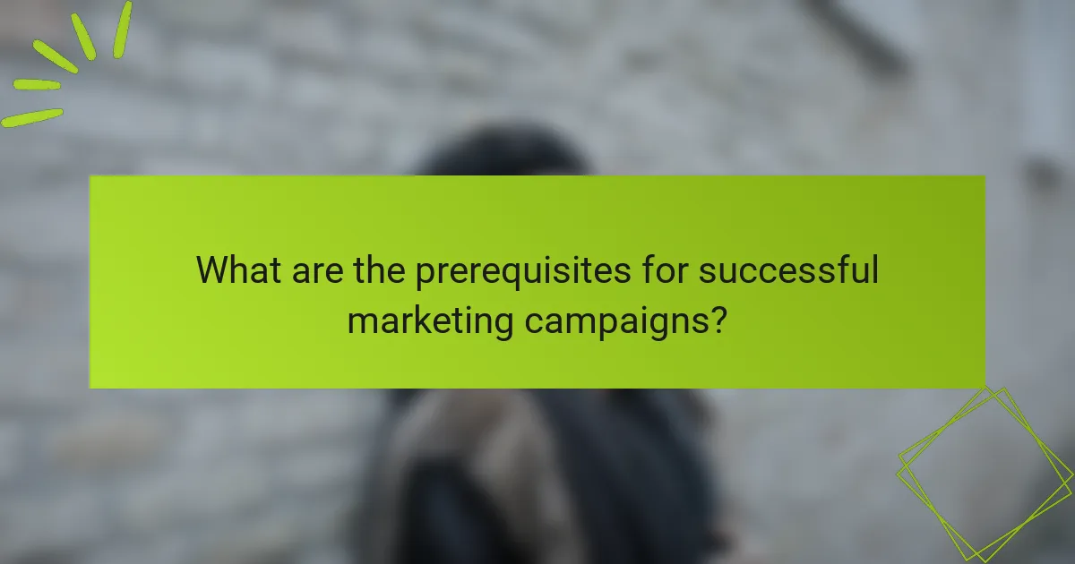 What are the prerequisites for successful marketing campaigns?