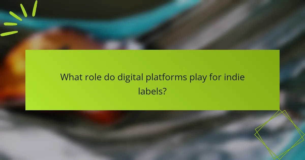 What role do digital platforms play for indie labels?