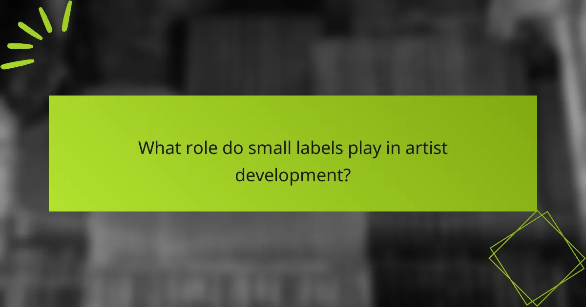 What role do small labels play in artist development?